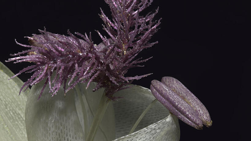一个玻璃尖头紫花模型的特写镜头。