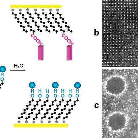 Controlled amorphous-to-crystalline transitions 1