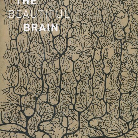The beautiful brain: the drawings of Santiago Ramón y Cajal