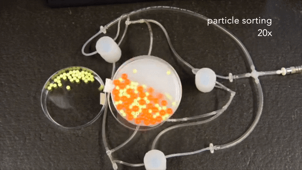 A soft robot sorts beads of two different sizes