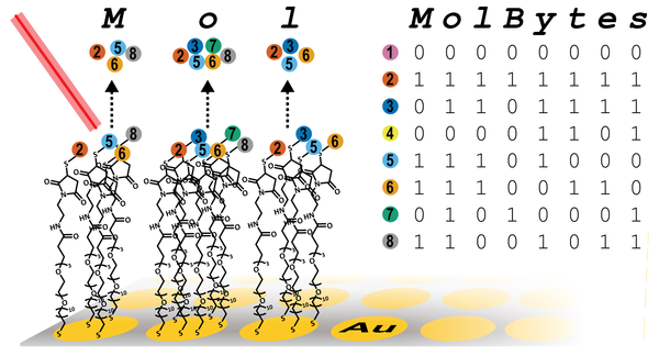 Pairing molecule mass and binary code, the Whitesides team can "write" massive amounts of data