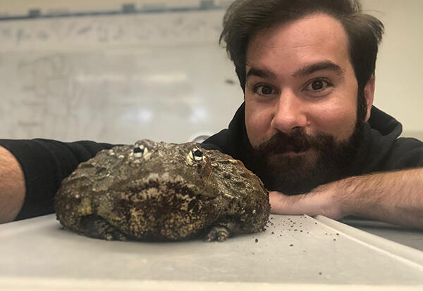 Staff member with his head next to an African bullfrog.