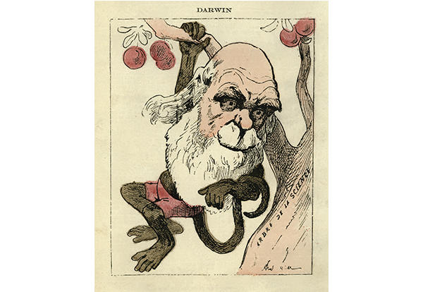 Cartoon of Darwin.