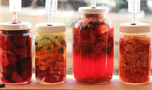 Four jars with liquid and food fermenting in a window.