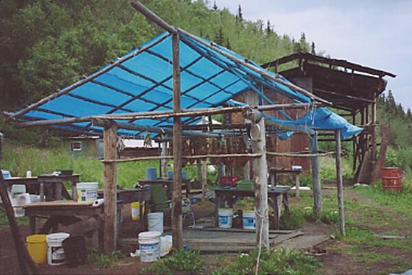 Open-air wooden structure covered in a blue tarp with container and tables for harvesting fish.