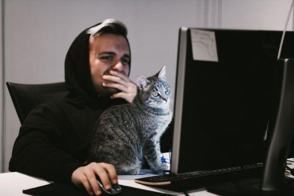 Man working on computer with cat