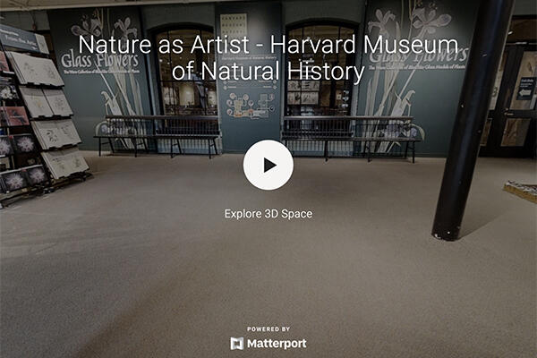 Screenshot of virtual exhibition entrance