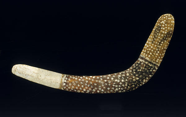 Yolŋu non-returning boomerang from Australia. Museum Purchase, Peabody Museum Association Fund 1930, 30‐54‐70/D3454