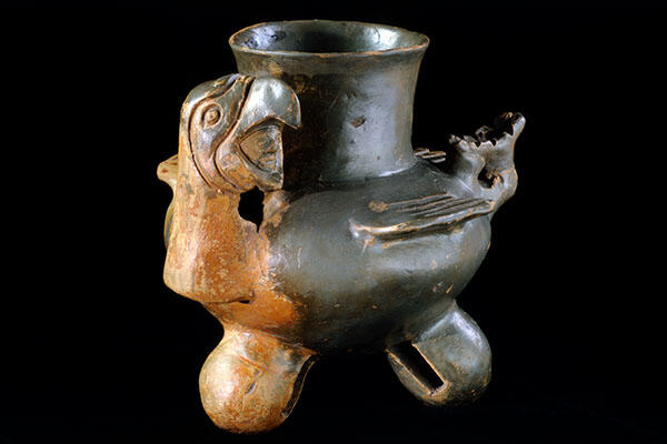 plumbate war jar decorated with open-mouthed parrot.