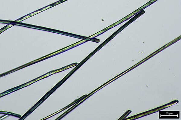 Silk under microscope.Anquera