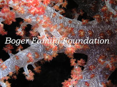 logo of Boger Family Foundation