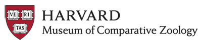 Harvard Museum of Comparative Zoology Logo