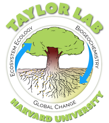 Taylor Lab