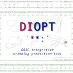 Square logo for DIOPT online resource