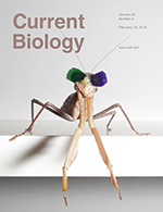 Current_Biology_cover_2018a