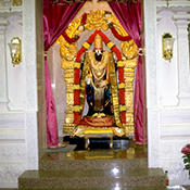 Balaji Vishnu in America