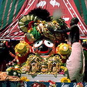 Krishna's Chariot Festival