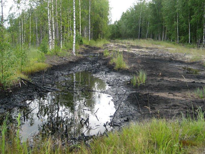 An oil spill in a forest in Western Siberia