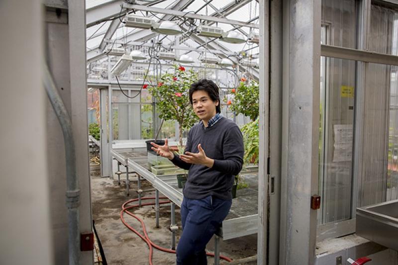 Kelsey Sakimoto, postdoctoral fellow with the Center for the Environment, is exploring how to use the sun to enrich soil with an artificial leaf and engineered bacteria.