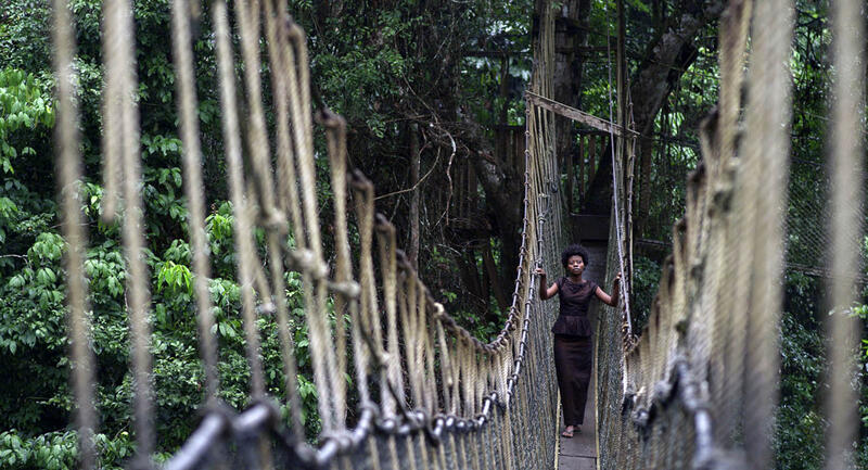 A person walking across a rope bridge