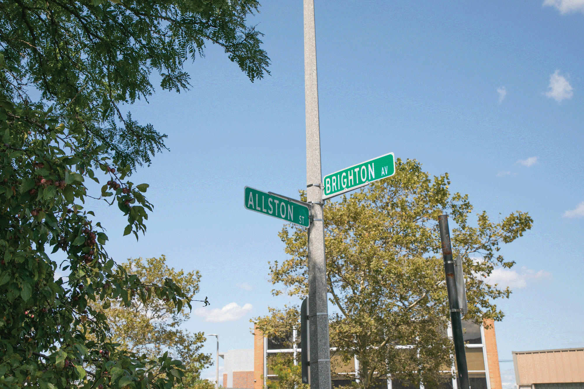 Allston-Brighton street sign