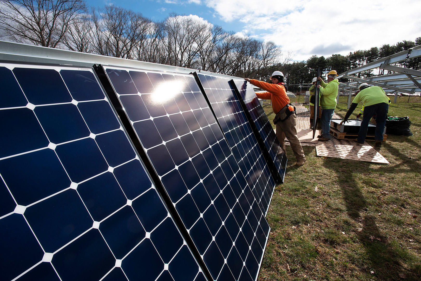 Solar installation at Arnold Arboretum