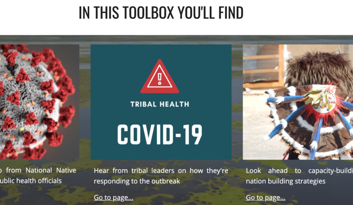 Screenshot of the COVID-19 toolbox: says learn more about tribal health, economic recovery, and best practices