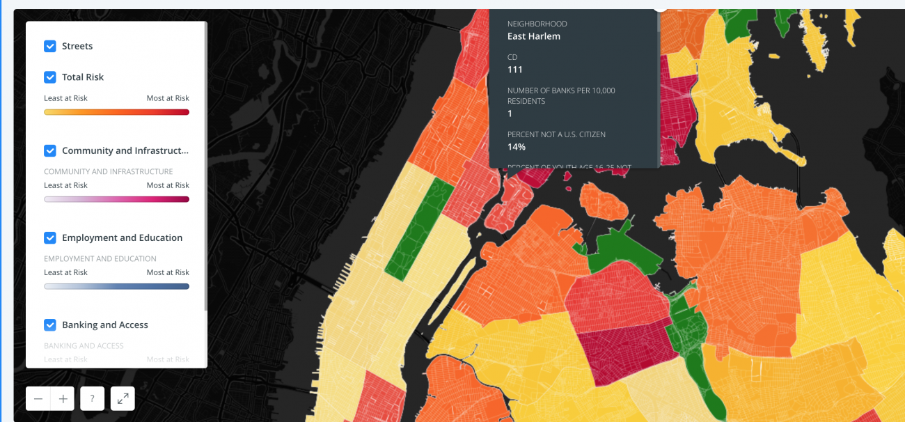 NYC Neighborhood Economy Map