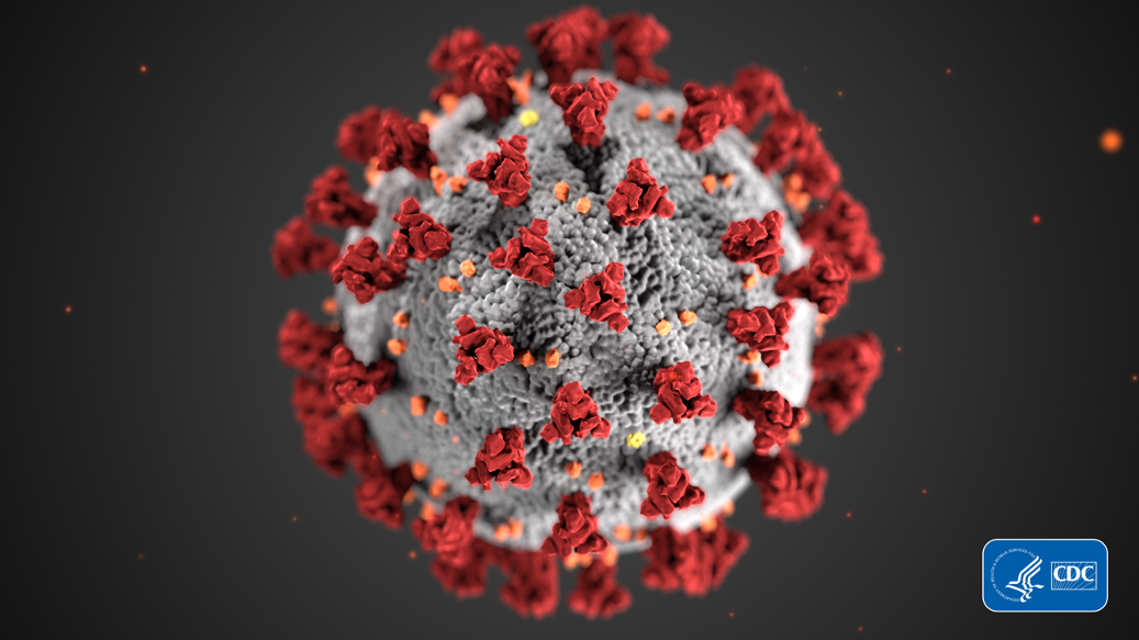 A close-up photo of Coronavirus Disease 19 at the molecular level, provided by the CDC organization