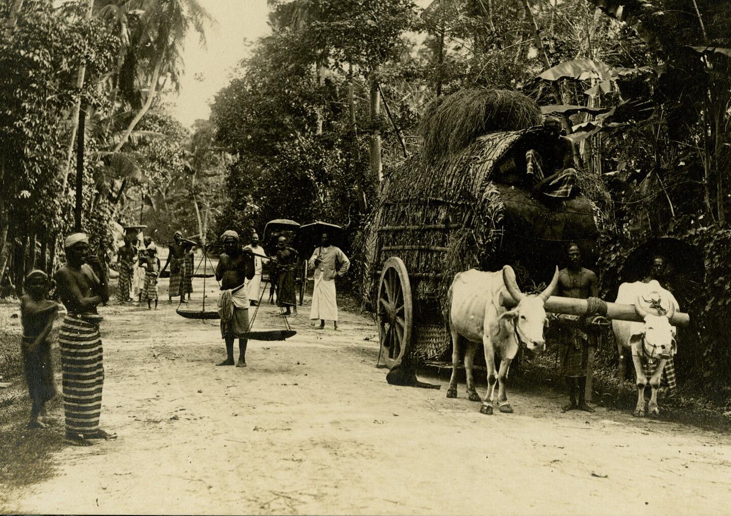 &nbsp;A country road in Ceylon, undated
