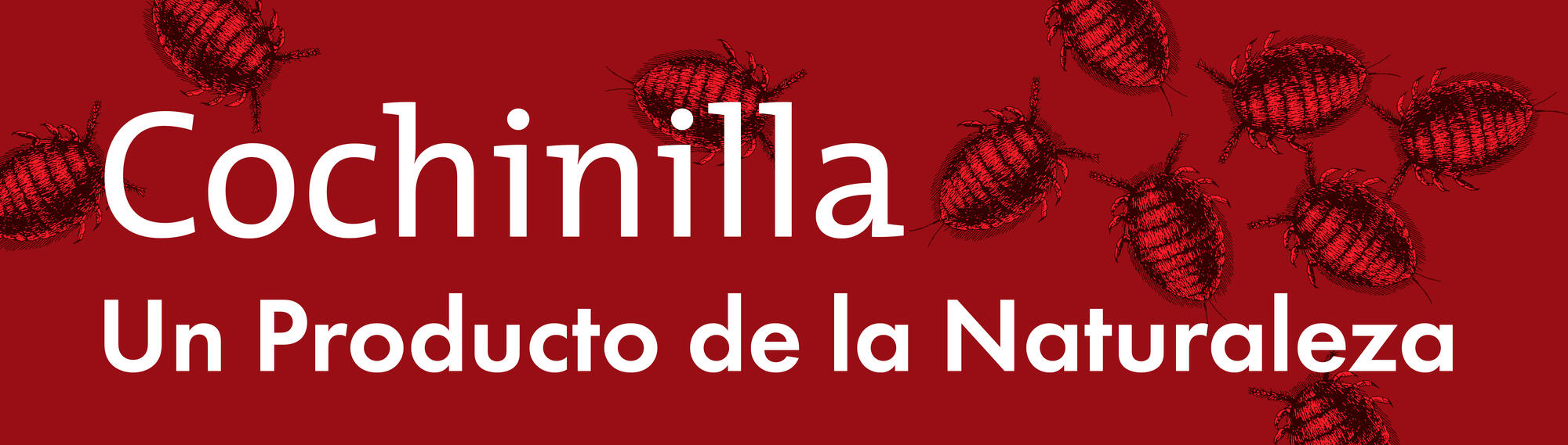 Spanish Text &quot;Cochinilla Un Producto de la Naturaleza.&quot;