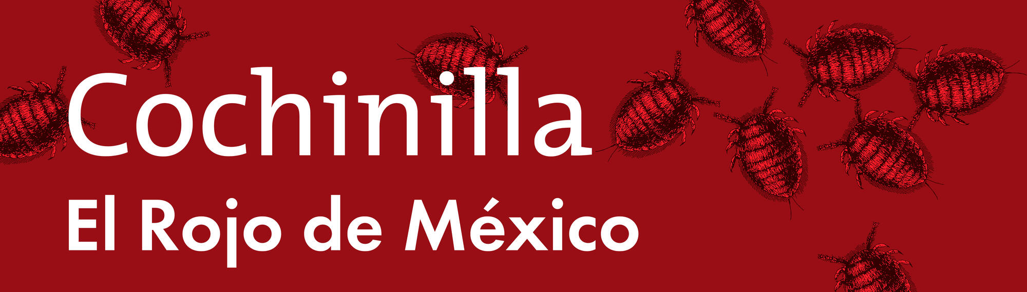 Spanish text &quot;Cochinilla El Rojo de México&quot;.