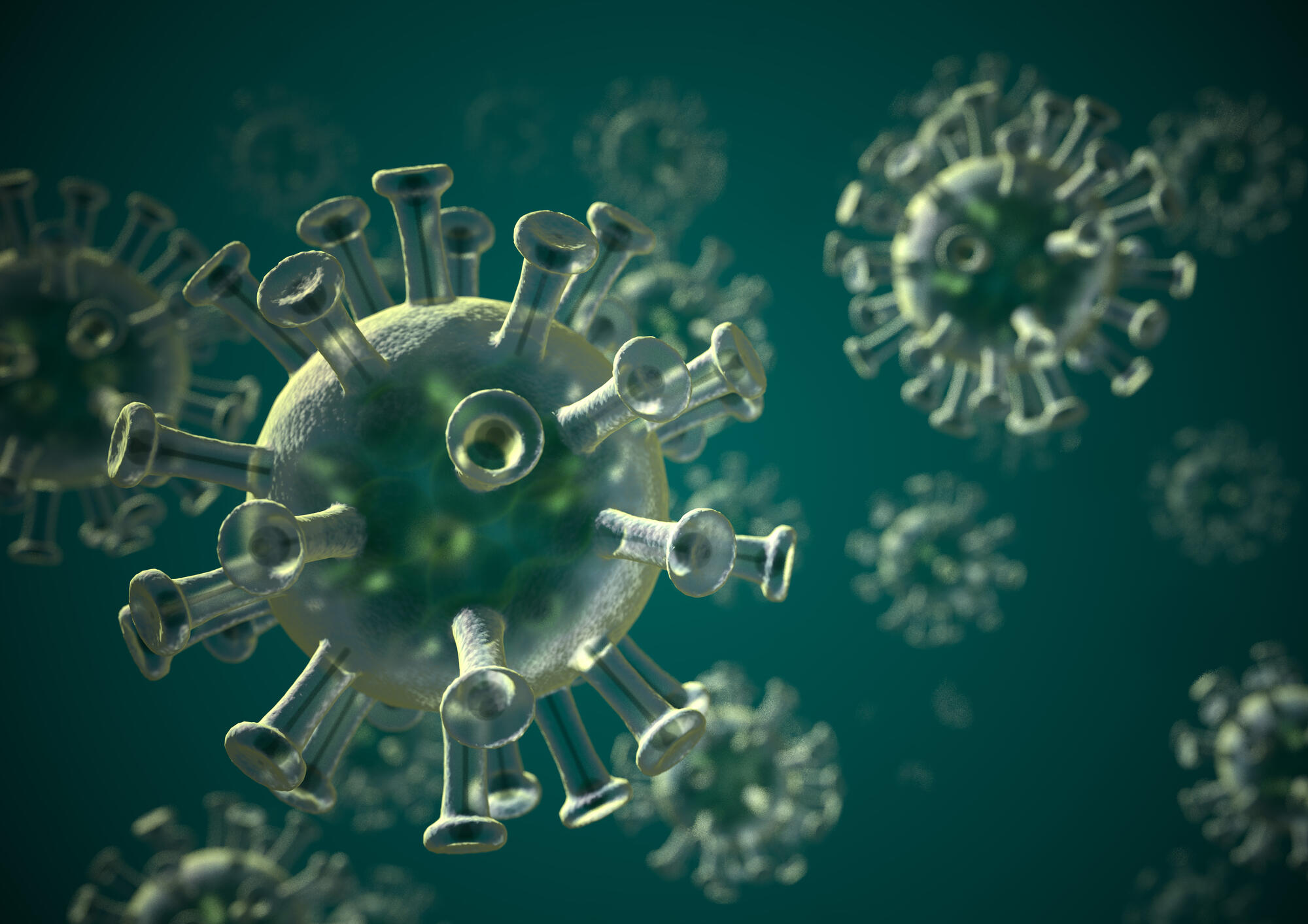 Three dimensional rendering of coronavirus.