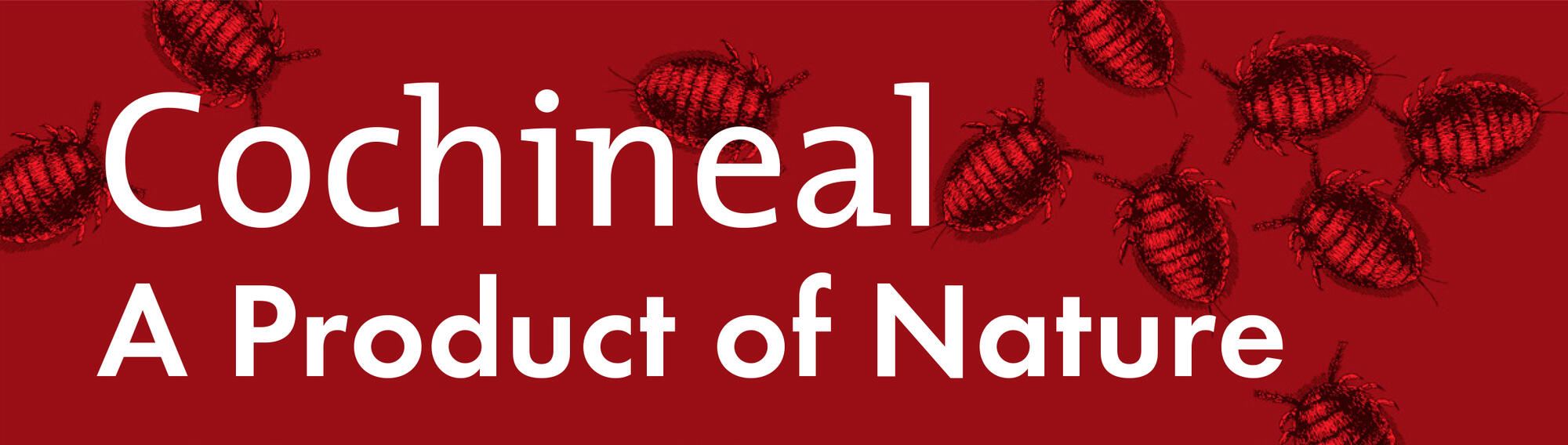 Red banner with illustrations of Cochineal with text &quot;Cochineal: A Product of Nature.&quot;
