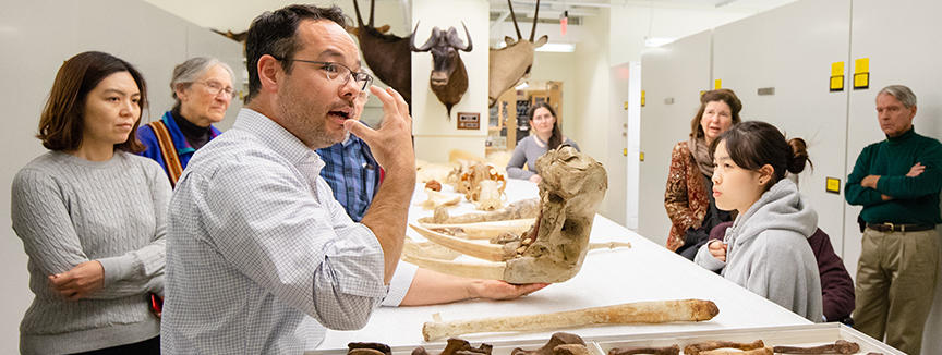 Diverse Group given a behind the scenes tour of animal taxidermy and skeletons.