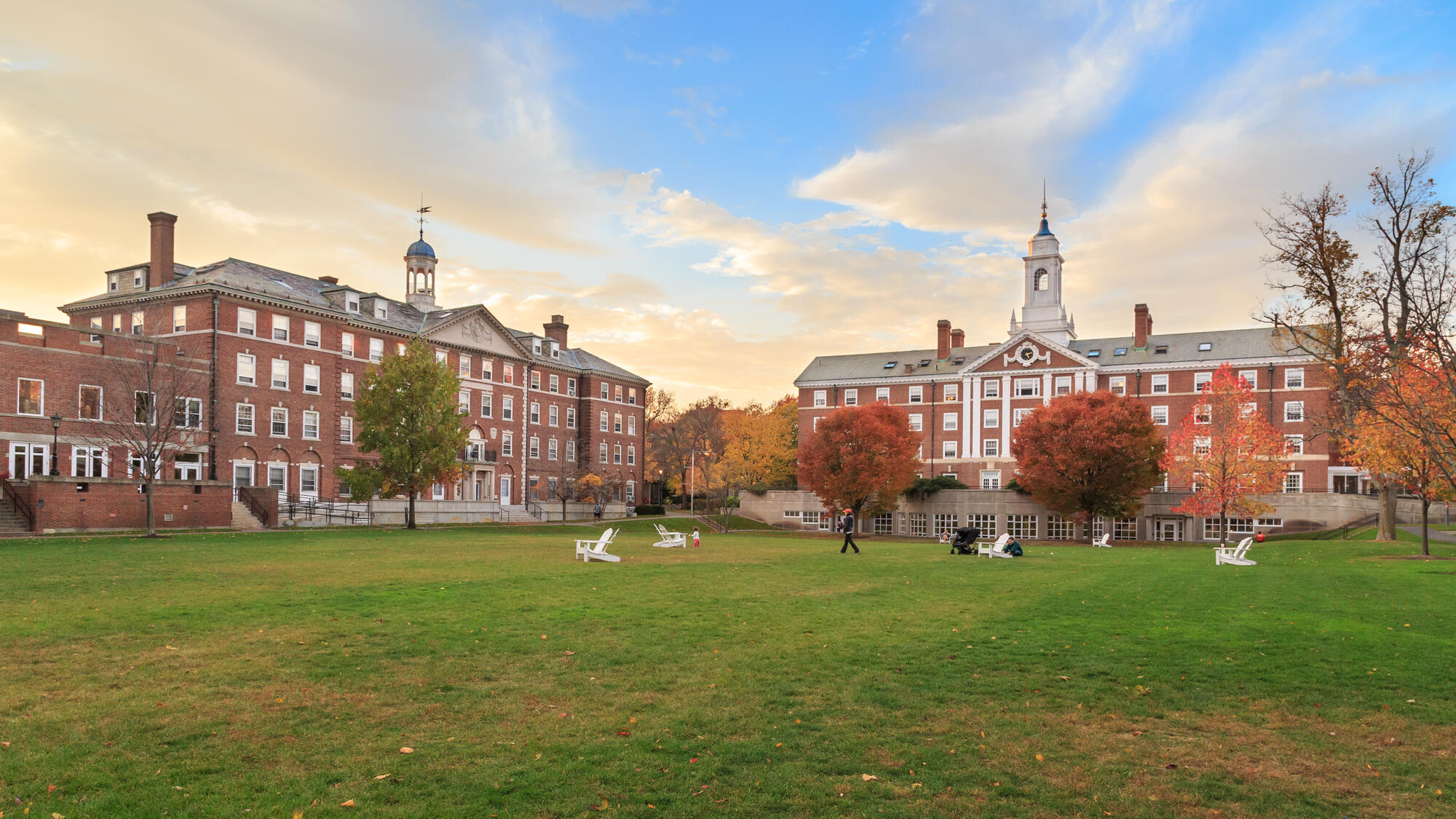 A shot of an empty Harvard Yard