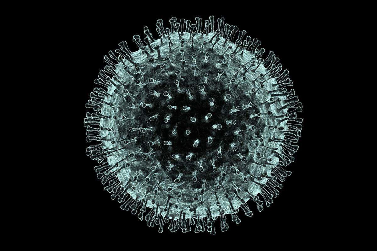 coronavirus artwork