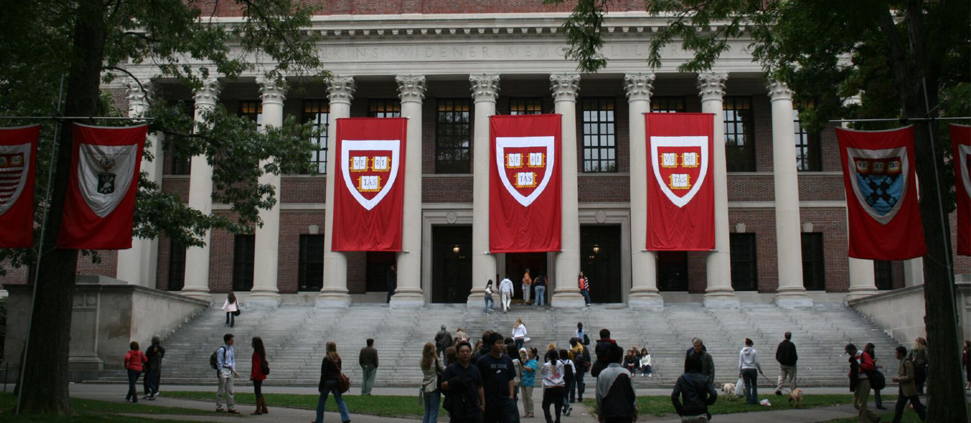 students outside of Widener Library, Harvard Yard