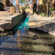 Recently revived waterway in Omani town