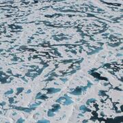 Solving the Mystery of the Arctic's Green Ice