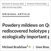 New Publication - Powdery mildews on Quercus