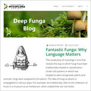 Thumbnail - Mycoflora blog site
