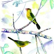 watercolor of a male and female tanager