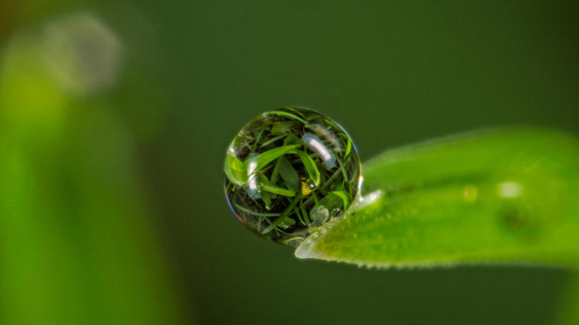 Image of water droplet on leaf