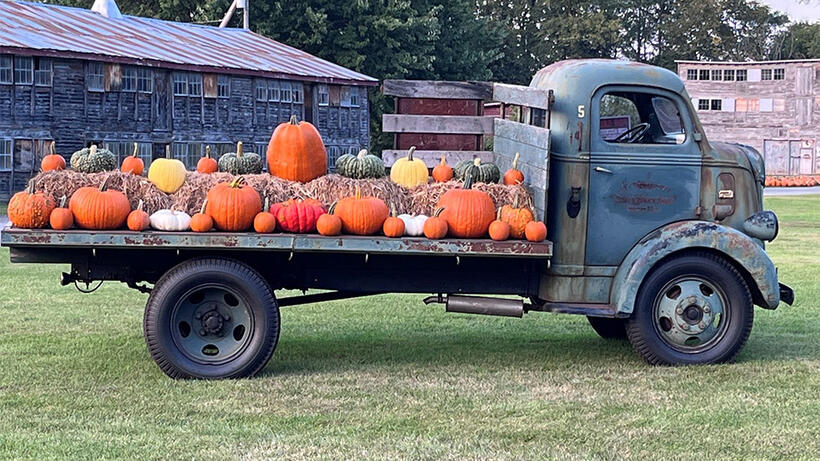 Truck with pumpkins on the back