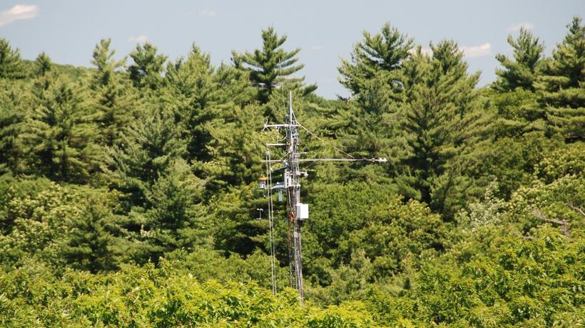 The Environmental Measurements (EMS) Tower at the Harvard Forest in Petersham, MA