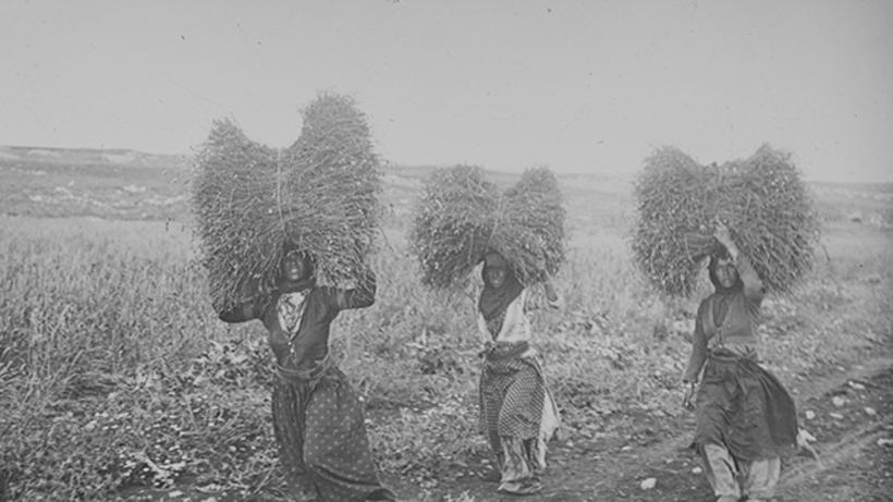 Three women carrying bales of grass on their shoulders.