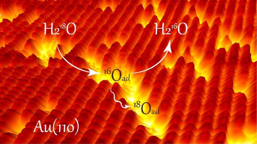 Water facilitates oxygen mobility on gold surfaces via transient hydroxyl pairs
