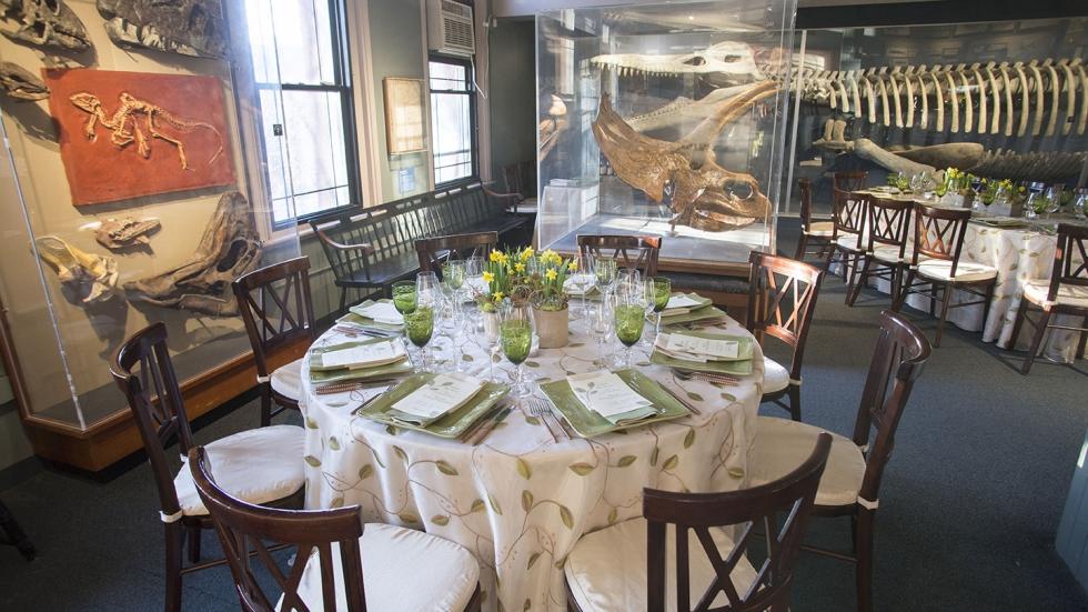 Tables and chairs set up for an event in the Romer Gallery at the Harvard Museum of Natural History.
