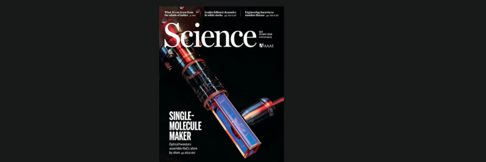 NaCs science cover